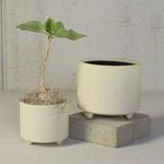 Product Image 3 for Simon Footed Planter, Ceramic, White / Matte White from Homart