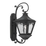 Product Image 1 for Outdoor Wall Lantern Manor Collection In Solid Brass In A Charcoal Finish from Elk Lighting