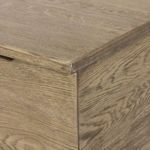 Product Image 7 for Quintin Trunk from Four Hands