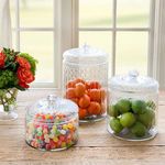 Product Image 4 for Carraway Etched Glass Canister from Park Hill Collection