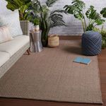 Rug styled in indoor setting with wicker sofa, plants, side table, and blue pouf on wood floor