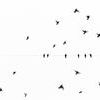 Product Image 1 for Fly By Art By Ryan Garvin from Ryan Garvin