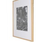 Product Image 5 for Floral Film I Framed Black and White Photograph by Annie Spratt from Four Hands