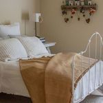 Product Image 3 for Natalia 50"x70" Cotton Throw from Under the Bough