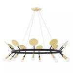 Product Image 1 for Fern 10 Light Chandelier from Mitzi