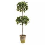 Faux Ficus Topiary in Pot, 31" image 2