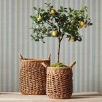 Product Image 2 for Cam Banana Leaf Baskets W/ Handles, Set Of 2 from Napa Home And Garden