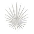 Product Image 9 for Bismarkia White Wall Sconce from Currey & Company