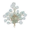 Baobab Silver Wall Sconce lit to show warm light glowing through textured glass leaves