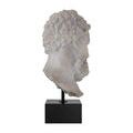 Product Image 5 for Hercules Head on Metal Stand from Currey & Company