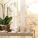 Product Image 2 for Bennett Storage Bowl with Lid from Jamie Young