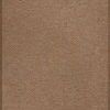 Rust-toned indoor/outdoor area rug with a small checkered pattern and solid border