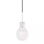 Jenna 1 Light Pendant with clear textured glass globe and steel mounting on a black cord