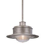 Product Image 1 for South Street Hanging Downlight from Troy Lighting