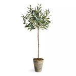 Product Image 1 for Olive Tree Potted 46" from Napa Home And Garden