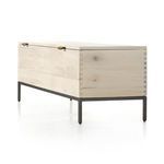 Product Image 5 for Trey Trunk from Four Hands