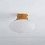 Semi flush mount Pearl River ceiling light viewed from below showing full oblong glass shade and ceiling mounting