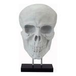 Product Image 1 for Braincase Skull Statue White from Moe's