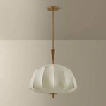 Product Image 4 for Flinders Pendant from Troy Lighting