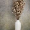 Product Image 3 for Bui Grass Paper Wrap Natural Bunch from BIDKHome