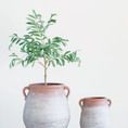 Product Image 7 for Large Megara Terracotta Urn from Creative Co-Op