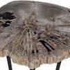 Product Image 1 for Large Cross Base Petrified Top Side Table from Noir