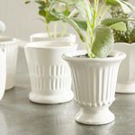 Product Image 5 for Mirabelle Mini Cachepots, Set Of 6 from Napa Home And Garden