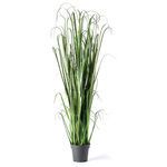 Product Image 1 for Onion Grass Drop In 51" from Napa Home And Garden