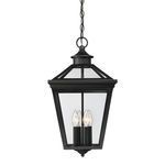 Product Image 1 for Ellijay 12" Steel Hanging Lantern from Savoy House 