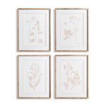 Product Image 1 for Blush Botanical Study Wall Art Framed Prints, Set of 4 from Napa Home And Garden