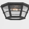 Product Image 4 for Lake County 2 Light Flush Mount from Troy Lighting