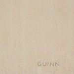 Zoomed section showing faint artist signature 'GUINN' on a plain beige canvas area