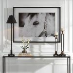 Product Image 2 for Eye of the Beholder Black & White Framed Horse Print from Uttermost