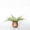Product Image 3 for Dorothea Fern Stems, Bundle of 7 from Napa Home And Garden