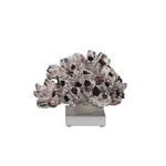 Product Image 5 for Barnacle Coral 8 from Legend of Asia