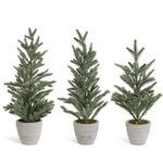 Product Image 1 for Maple Snowy Pine Trees in Cement Pots, Set of 3 from K&K Interiors