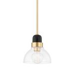 Camile 1 Light Small Pendant with clear glass dome shade, brass and black fixture, and adjustable brass rod