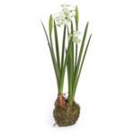 Product Image 2 for Snowdrop Drop In 13.5" (Set of 6) from Napa Home And Garden