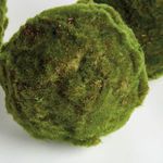 Product Image 3 for Moss Orbs, Set of 3 from Napa Home And Garden