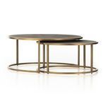 Product Image 13 for Shagreen Antique Brass Round Nesting Coffee Table from Four Hands