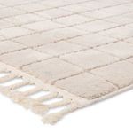 Close-up angled view showing soft pile texture and braided fringe of the cream and tan striped rug