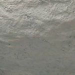 Product Image 3 for Garden Pedestal Bowl from Jamie Young