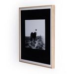 Product Image 8 for Blank Horse By Annie Spratt Framed Paper from Four Hands