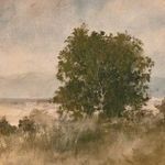 Product Image 11 for Blue Splendor By Aileen Fitzgerald from Four Hands