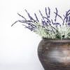 Product Image 6 for Colette French Lavender Bush - 34", Single Stem from Napa Home And Garden