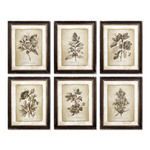 Product Image 1 for Framed Vintage Floral Prints, Set Of 6 from Napa Home And Garden