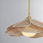 Product Image 2 for Florina 1-Light Pendant - Aged Brass from Hudson Valley