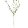Product Image 2 for Cosmos Stems, Set of 3 from SN Warehouse