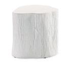 Product Image 1 for Tree Trunk End Table from Sunset West