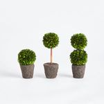 Product Image 2 for Boxwood Topiary Drop-Ins, Set Of 3 from Napa Home And Garden